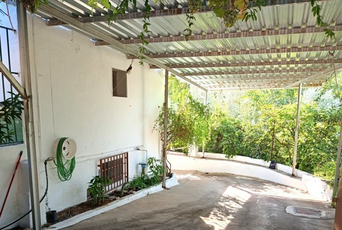 Image No.3-6 Bed Cortijo for sale