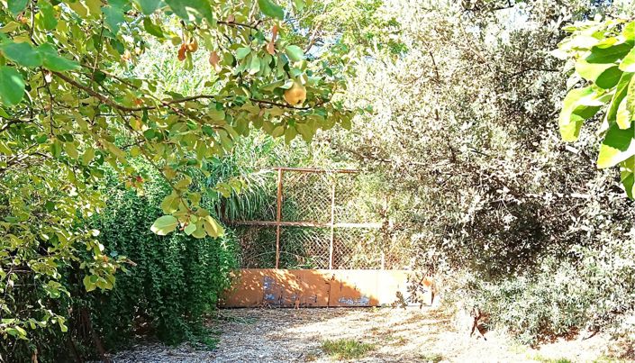Image No.39-6 Bed Cortijo for sale