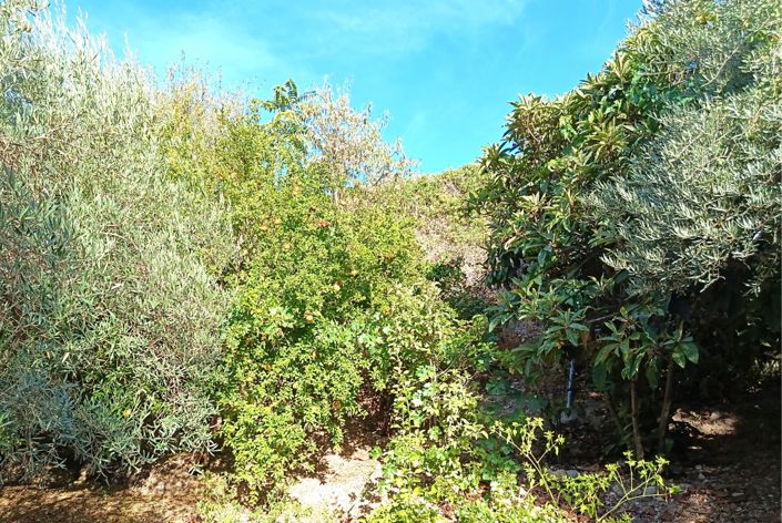Image No.44-6 Bed Cortijo for sale