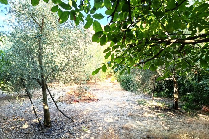 Image No.45-6 Bed Cortijo for sale