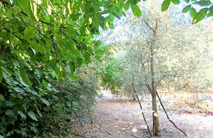 Image No.46-6 Bed Cortijo for sale