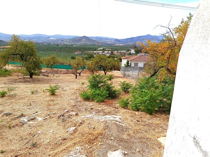 Image No.17-3 Bed Cortijo for sale