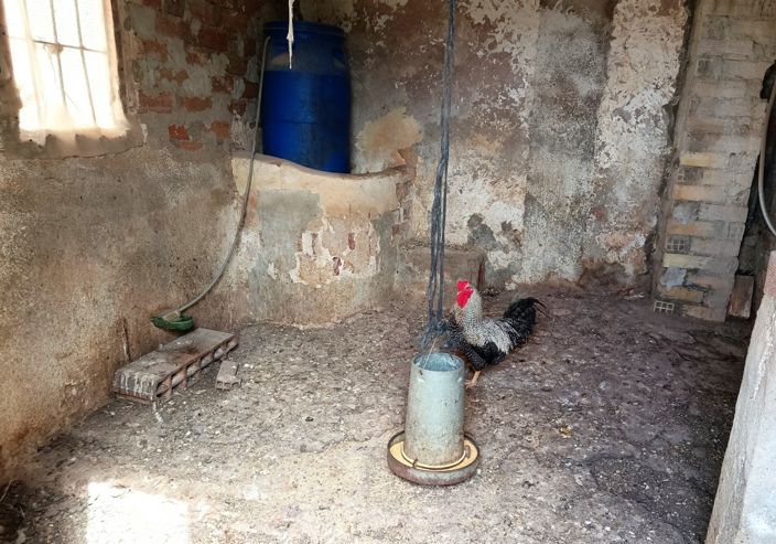 Image No.28-3 Bed Cortijo for sale