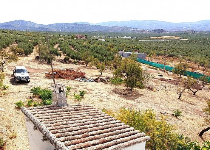 Image No.4-3 Bed Cortijo for sale