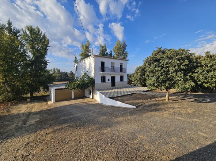 Image No.19-4 Bed Cortijo for sale