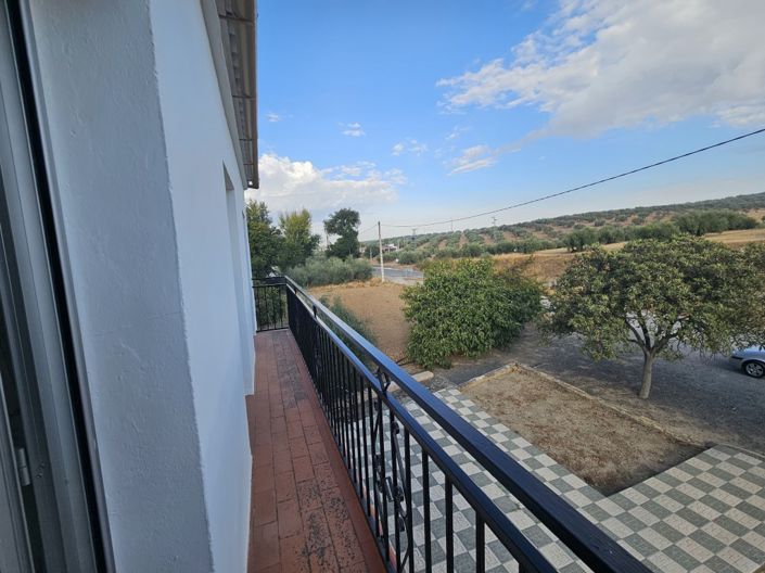 Image No.4-4 Bed Cortijo for sale