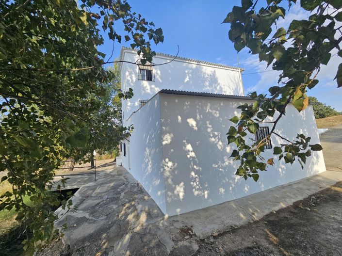 Image No.54-4 Bed Cortijo for sale