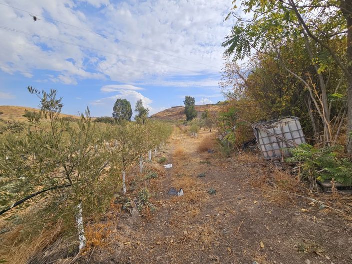 Image No.16-5 Bed Cortijo for sale