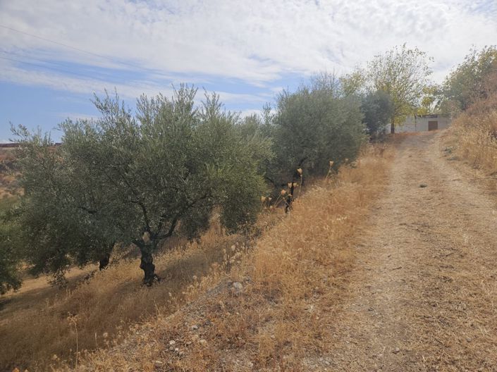 Image No.17-5 Bed Cortijo for sale