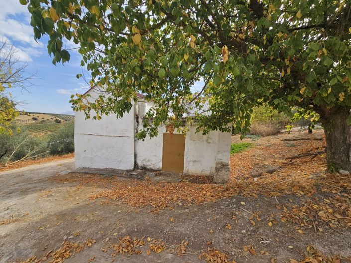 Image No.2-5 Bed Cortijo for sale