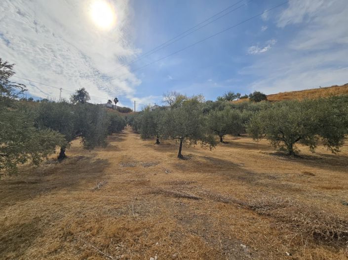Image No.21-5 Bed Cortijo for sale