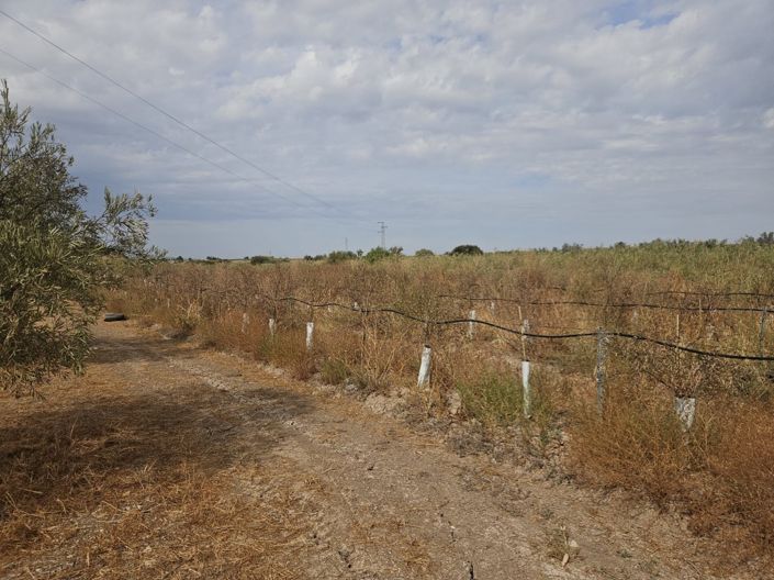 Image No.35-5 Bed Cortijo for sale