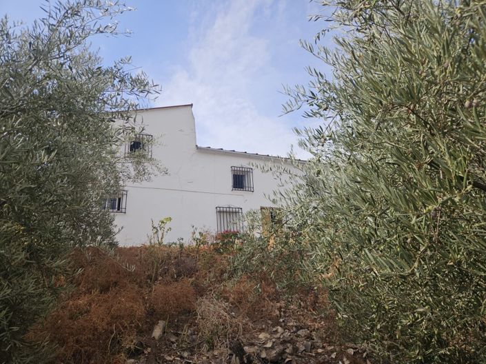 Image No.36-5 Bed Cortijo for sale