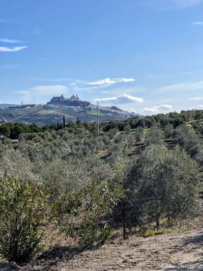 Image No.32-6 Bed Finca for sale