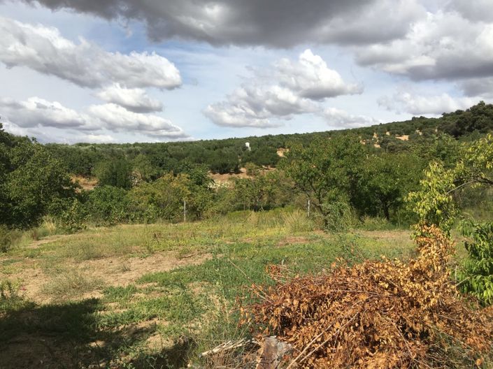 Image No.6-Maison de campagne de 3 chambres à vendre à Ronda