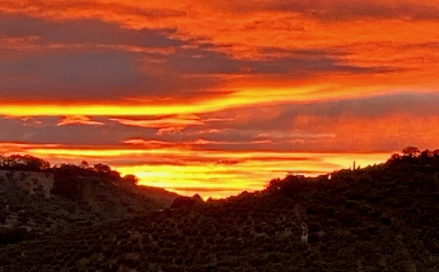 Image No.6-Maison de campagne de 10 chambres à vendre à Pruna