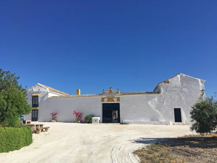 Image No.1-Maison de campagne de 6 chambres à vendre à Morón de la Frontera