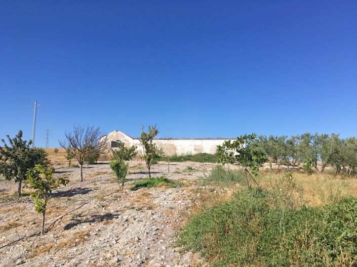 Image No.25-Maison de campagne de 6 chambres à vendre à Morón de la Frontera