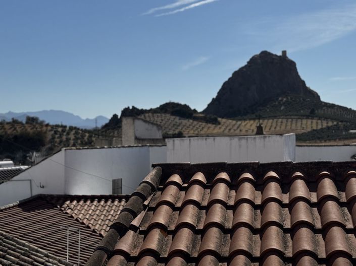 Image No.11-2 Bed Land for sale