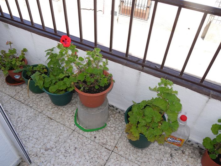 Image No.9-Propriété de 3 chambres à vendre à Pruna