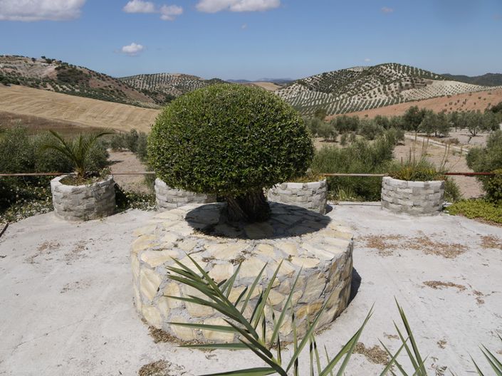 Image No.19-3 Bed Villa for sale