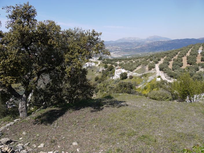 Image No.1-Land for sale