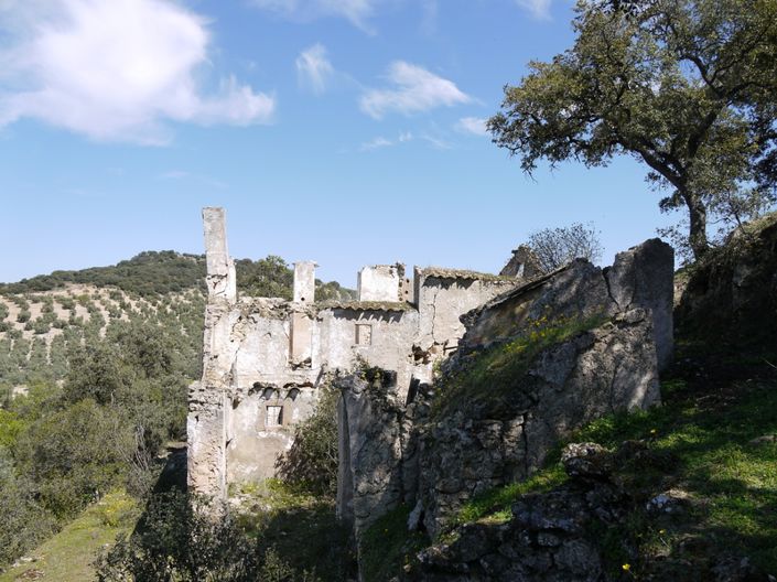 Image No.23-Land for sale