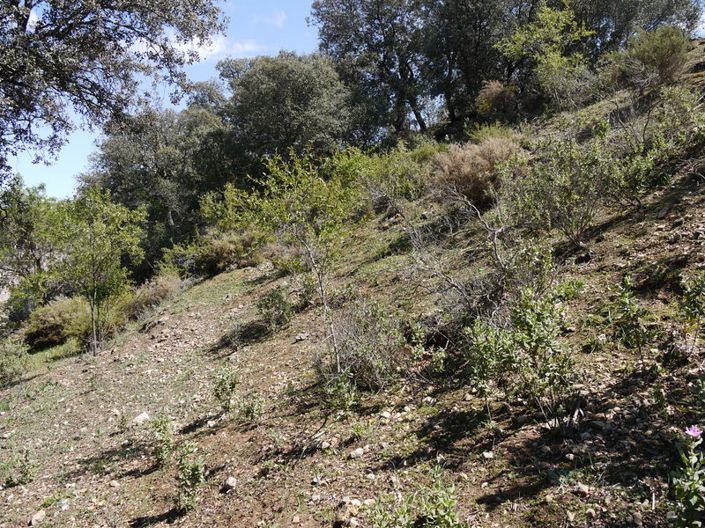 Image No.24-Land for sale