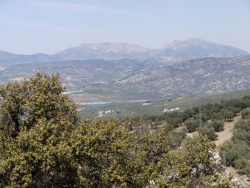 Olvera Properties most sold property