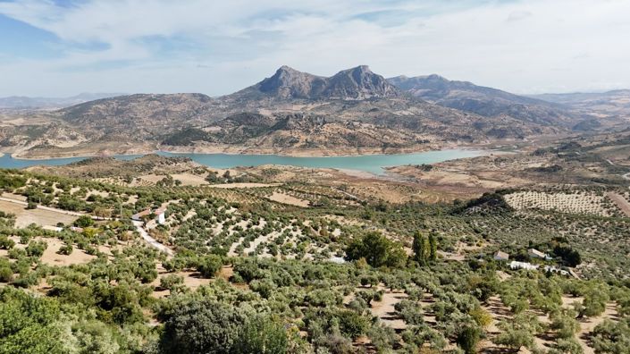 Image No.9-Propriété de 3 chambres à vendre à Andalousie