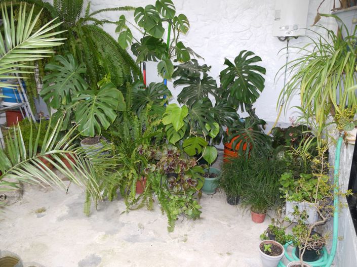 Image No.9-3 Bed Townhouse for sale