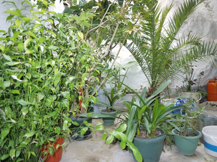 Image No.10-3 Bed Townhouse for sale