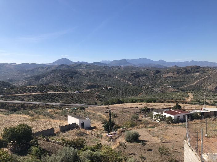 Image No.3-Propriété de 4 chambres à vendre à Olvera