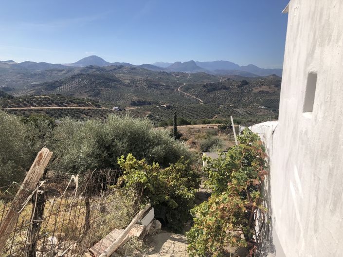 Image No.23-Propriété de 4 chambres à vendre à Olvera