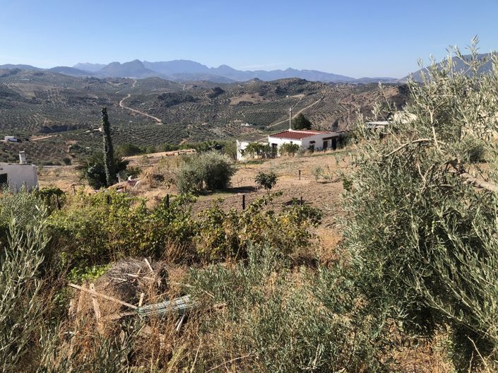 Image No.27-Propriété de 4 chambres à vendre à Olvera