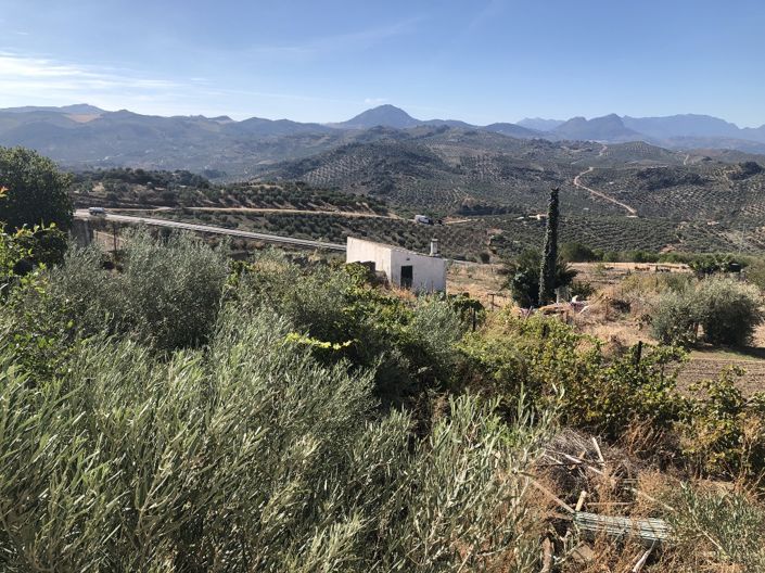 Image No.28-Propriété de 4 chambres à vendre à Olvera