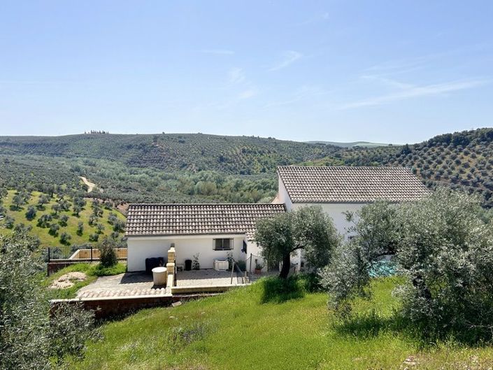 Image No.2-6 Bed Property for sale