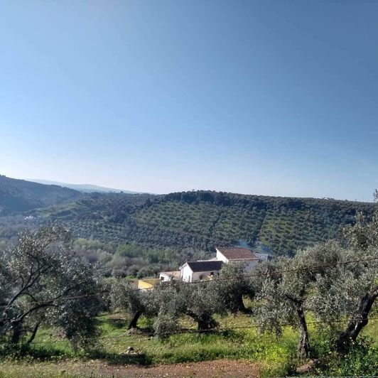 Image No.20-6 Bed Property for sale