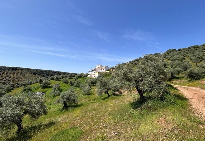 Image No.37-6 Bed Property for sale