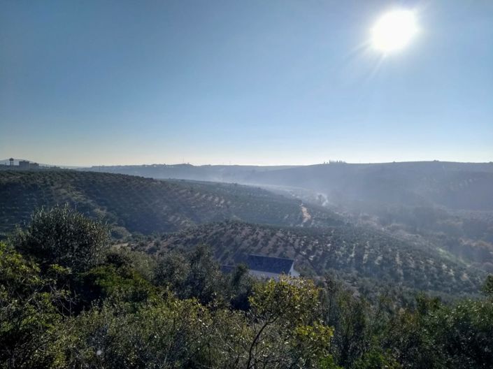 Image No.8-6 Bed Property for sale