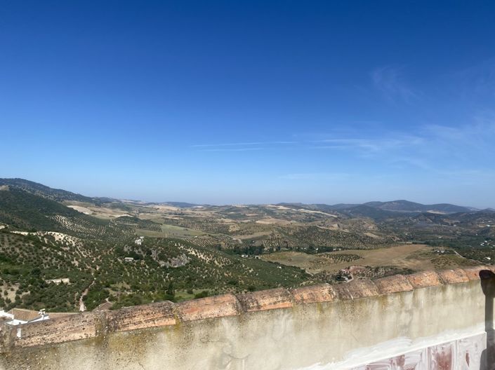 Image No.5-3 Bed Townhouse for sale