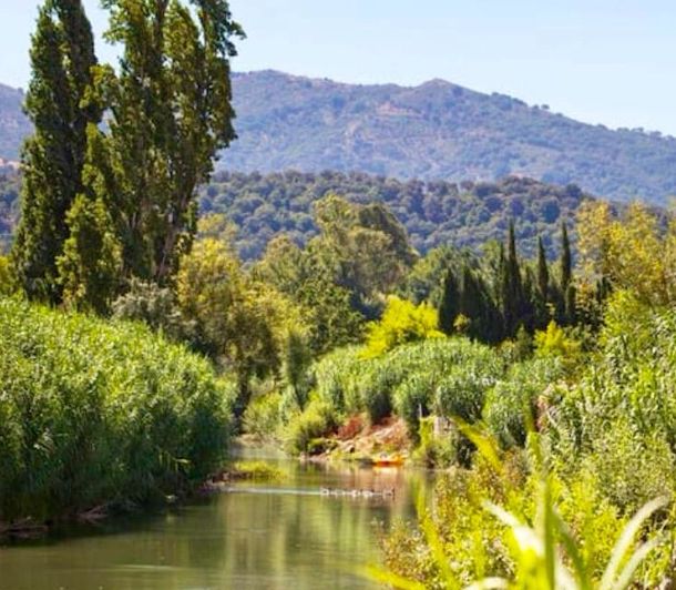 Image No.12-Propriété de 2 chambres à vendre à Cortes de la Frontera