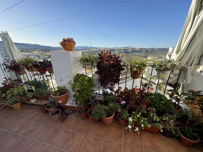 Image No.3-3 Bed Property for sale