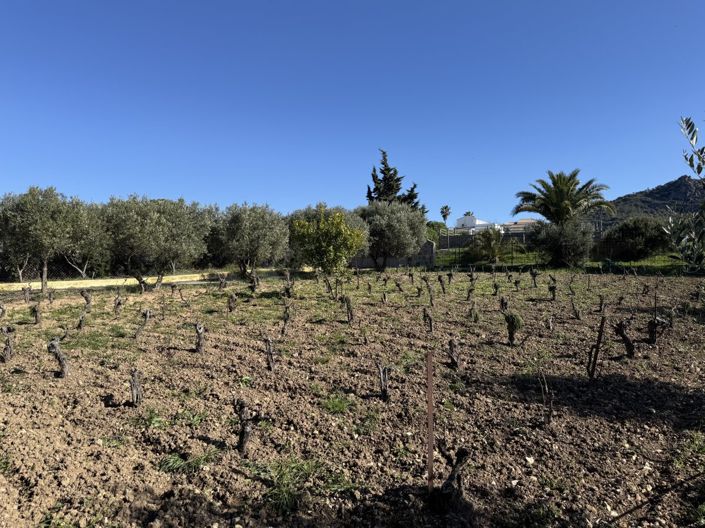 Image No.56-Propriété de 6 chambres à vendre à El Gastor