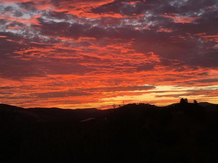 Image No.31-Propriété de 2 chambres à vendre à Algodonales