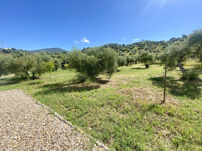 Image No.32-Propriété de 2 chambres à vendre à Algodonales