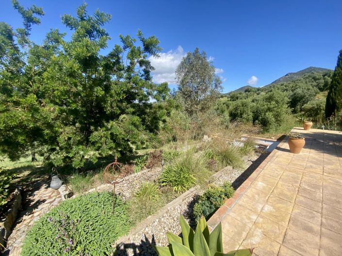 Image No.38-Propriété de 2 chambres à vendre à Algodonales