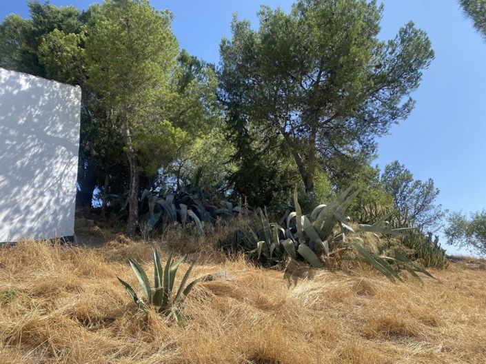 Image No.36-Propriété de 2 chambres à vendre à Olvera