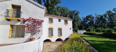 img3776-1200x540