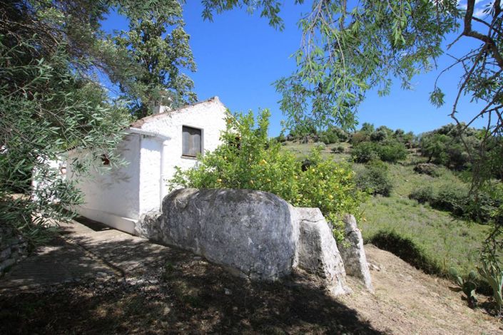 Image No.24-3 Bed Finca for sale